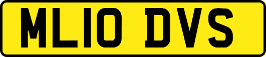 ML10DVS