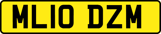 ML10DZM
