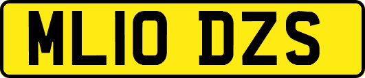 ML10DZS