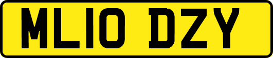 ML10DZY