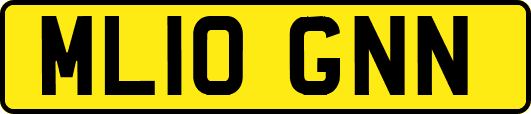 ML10GNN