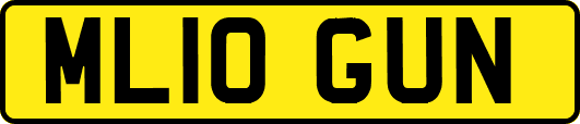 ML10GUN