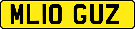 ML10GUZ
