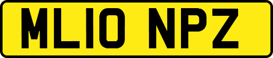 ML10NPZ