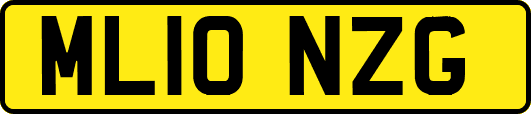 ML10NZG