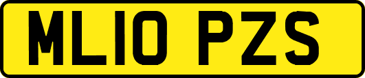 ML10PZS