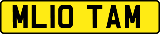ML10TAM