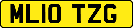 ML10TZG