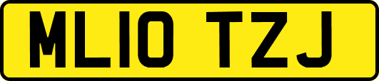 ML10TZJ