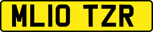ML10TZR