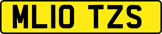 ML10TZS