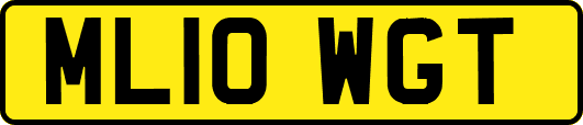 ML10WGT