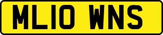ML10WNS