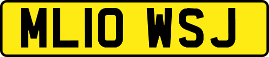 ML10WSJ