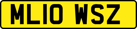 ML10WSZ