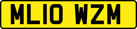 ML10WZM
