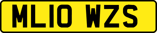 ML10WZS