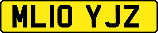 ML10YJZ
