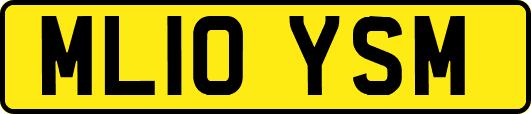ML10YSM