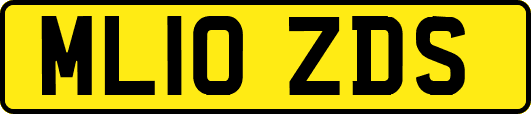 ML10ZDS