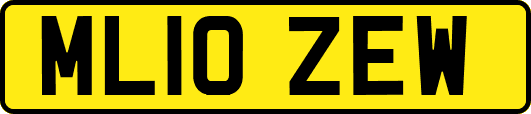 ML10ZEW