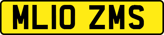ML10ZMS