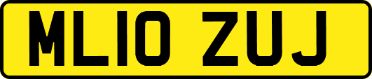 ML10ZUJ