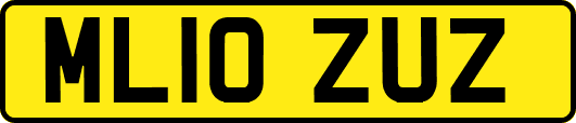 ML10ZUZ