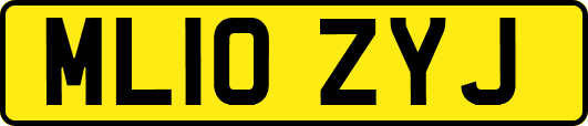 ML10ZYJ