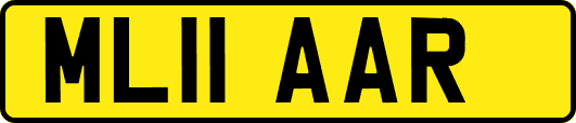 ML11AAR