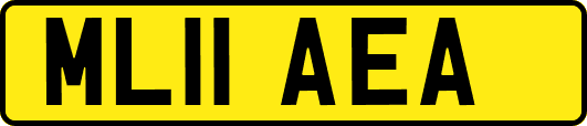 ML11AEA