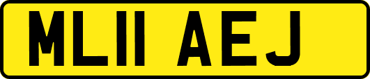 ML11AEJ