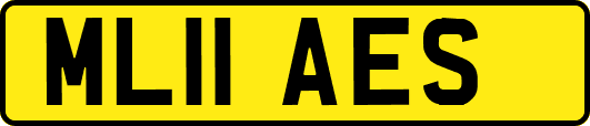 ML11AES