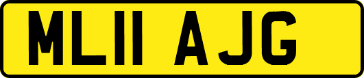 ML11AJG