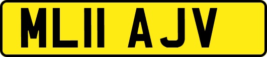 ML11AJV