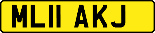 ML11AKJ