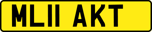 ML11AKT