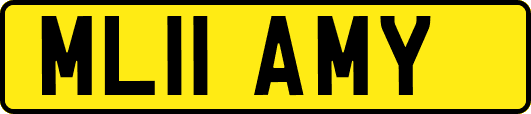 ML11AMY