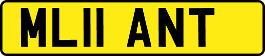 ML11ANT