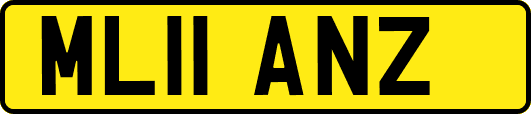 ML11ANZ
