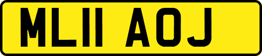 ML11AOJ