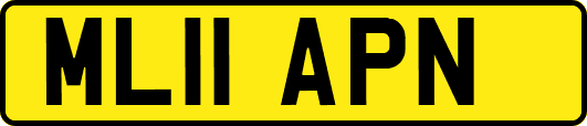 ML11APN