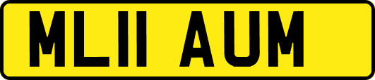ML11AUM