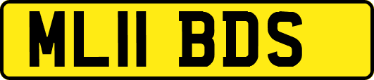 ML11BDS