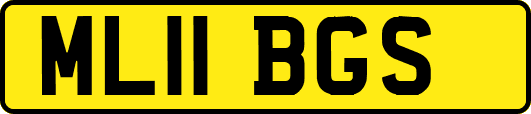 ML11BGS