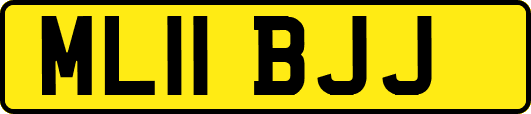 ML11BJJ