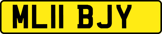 ML11BJY