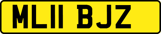 ML11BJZ