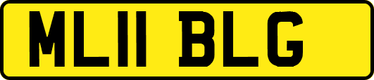 ML11BLG