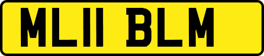 ML11BLM